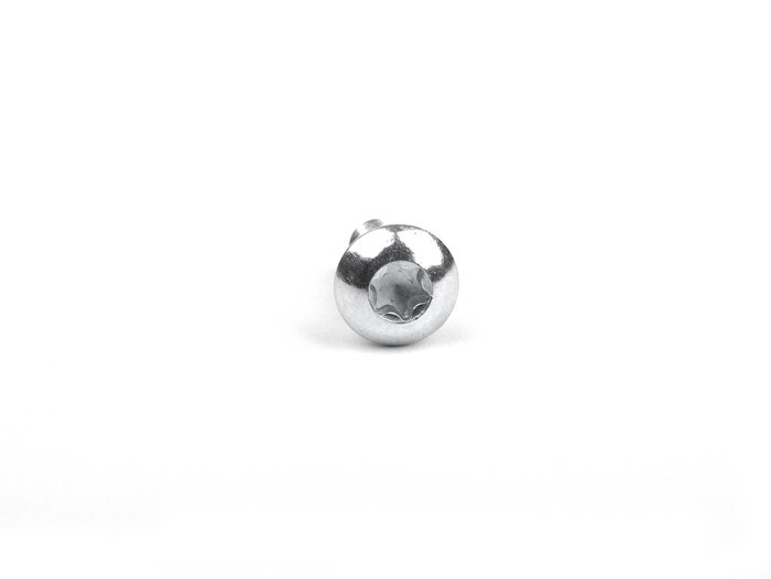 Screw Torx -ISO 7380/1 M5 x 12mm- TX25 - 10.10