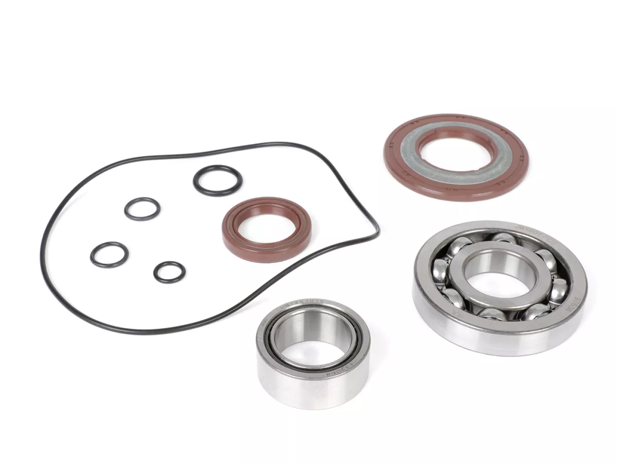 Bearing and oil seal set for crankshaft -BGM PRO FKM/Viton® (E10/etahnol resistant)- Vespa PX - rubber type - incl. O-rings