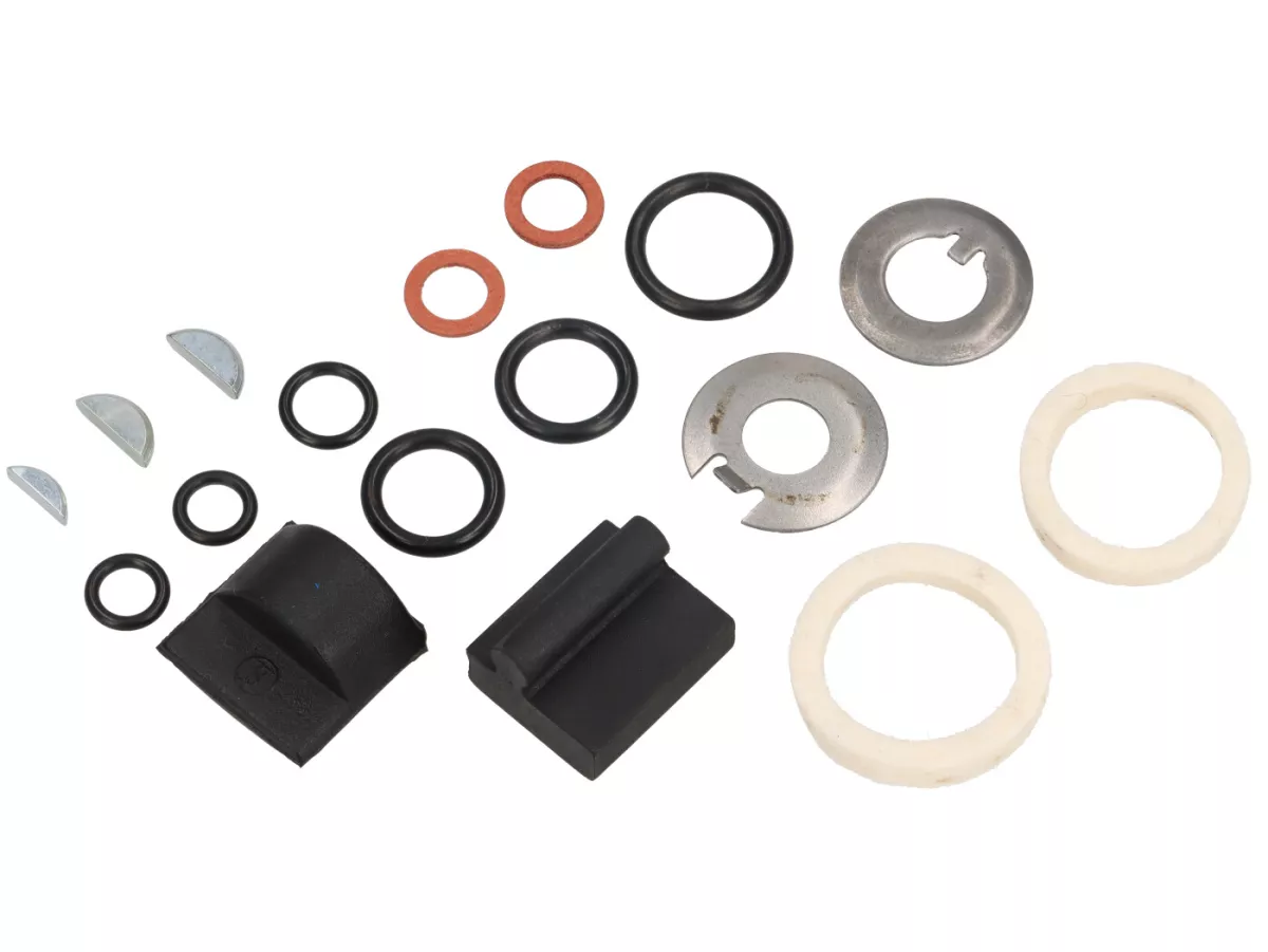 Set revisione motore -BGM PRO FKM/Viton® (resistente a E10)- Vespa Smallframe V50, V90, PV125, ET3 - NU204