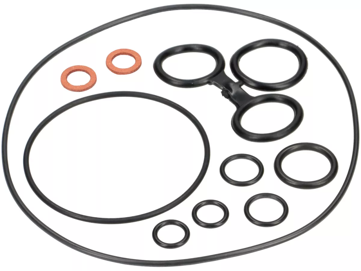 Engine repair kit -BGM PRO FKM/Viton® (E10/etahnol resistant)- Vespa Largeframe P125X (VNX1T), P150X (VLX1T), GTR125 (VNL2T 145901-), TS125 (VNL3T 18139-), Sprint Veloce (VLB1T 294260-), Super150 (VBC1T 412374-)