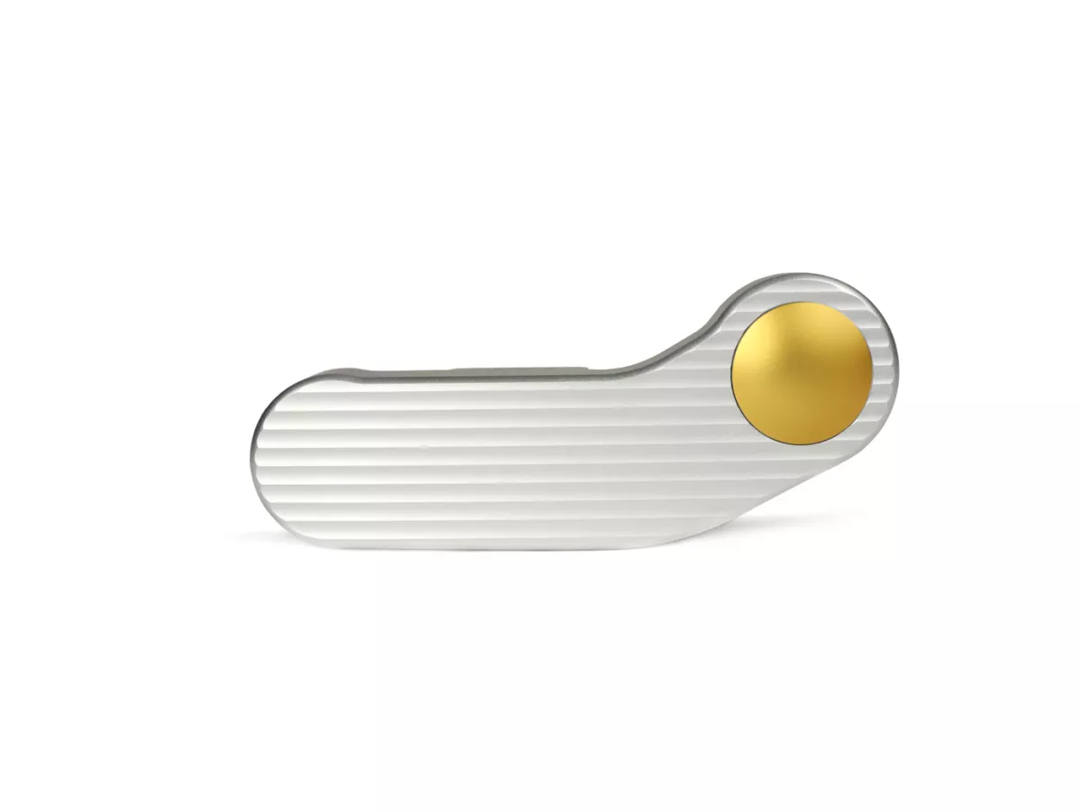 Schwingenabdeckung -BIKERS, gebogene Schwinge, Silbern, rot, gold, schwarz- Vespa GTS 250 (ZAPM45100), Vespa GTS 300 (ZAPM45200, ZAPM45202), Vespa GTS 125 i.e. Super (2014-2016) (ZAPM45300, ZAPM45301), Vespa GTS 300 i.e. Super (2014-2016) (ZAPM45200, ZAPM