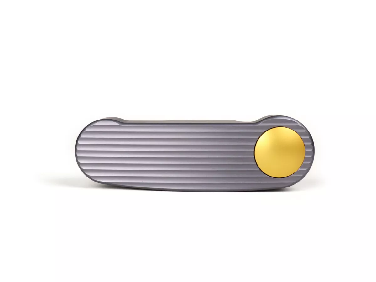 Cache balancier -BIKERS, balancier droit, argenté, rouge, doré, noir- Vespa Primavera 50 (2017-) (ZAPCA0100, ZAPCA0200), Vespa Primavera 125 (2016-) (RP8M82100, RP8M82310, RP8M82500, RP8M82821, ZAPMA1100, ZAPMA1101), Vespa Primavera 150 (2016-) (ZAPMA1200