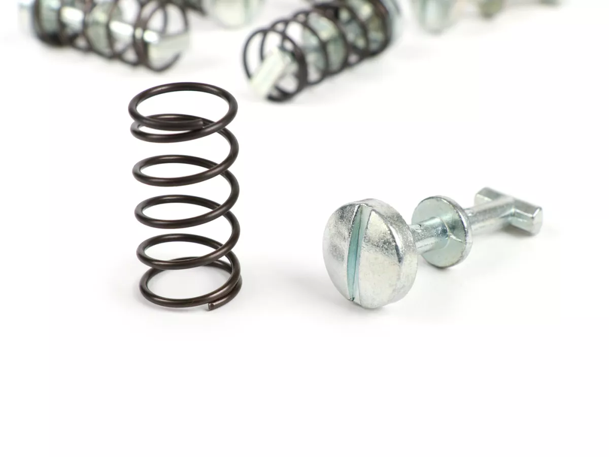 Retainers and springs for lateral cover -CIF, (6x long)- Piaggio SI, SI FL, Bravo (1982)