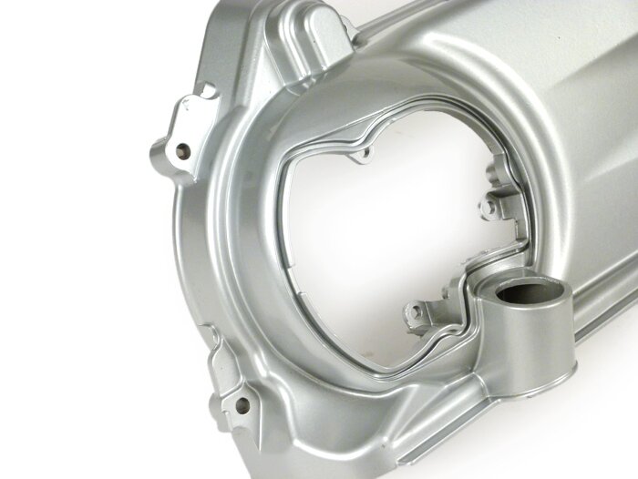 Varioskydd -PIAGGIO- Vespa GTS 250-300, GTS HPE 300, GTS Super 300, GTS Super HPE 300, GTS Super Sport 300, GTV HPE 300, Aprilia SR Max 300, Atlantic 250-300, Gilera Nexus 250-300, Piaggio MP3 250-300, MP3 HPE 300, MP3 Yourban 300, X7 250-300, X8 250, X9