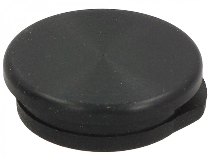 Afsluitplug versnellingsbak (remblokcontrole) -PIAGGIO- Vespa Primavera 125 (ZAPM81100, ZAPM81101, ZAPMA1100, RP8M82500, RP8M82821, RP8M82100, RP8M82310, ZAPMA1101, ZAPMD1100), Vespa Primavera 150 (ZAPM81200, ZAPMA1200, ZAPM81201, ZAPMA1201, ZAPMD1