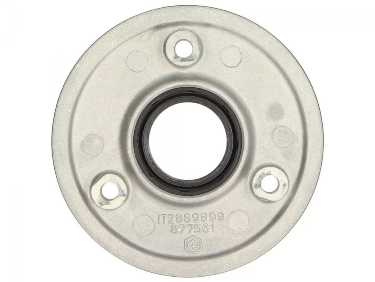 Täckplatta vevaxel, drivsida -PIAGGIO- Vespa GTS 125 (ZAPMA3100, ZAPMA3200, ZAPMA3700, ZAPMD3200, ZAPMD3201), Vespa GTS 150 (ZAPMA3200, ZAPMA3100), Vespa GTS Super 125 (ZAPMA3100, ZAPMA3200, ZAPMA3700, ZAPMD3200), Vespa LT 125 (RP8M66503), Vespa