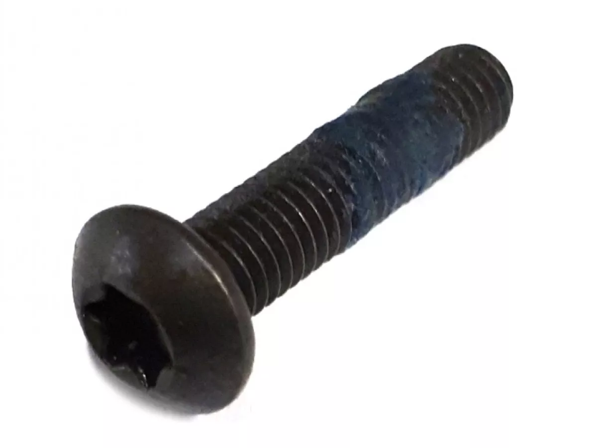 Screw lens head Torx M5 x 22 -ISO7380-1 TX-