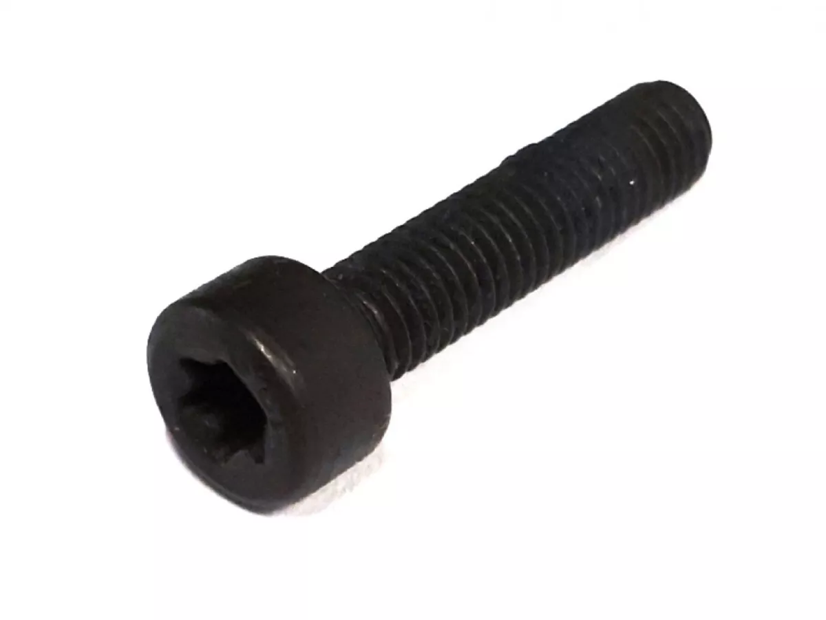 Screw Torx M5 x 22 -ISO14579 TX-