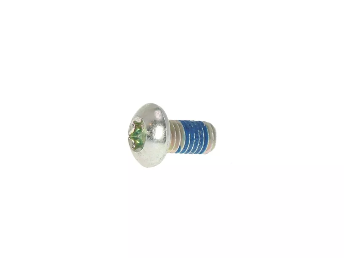 Screw Torx -ISO 7380/1 M5 x 10mm TX25