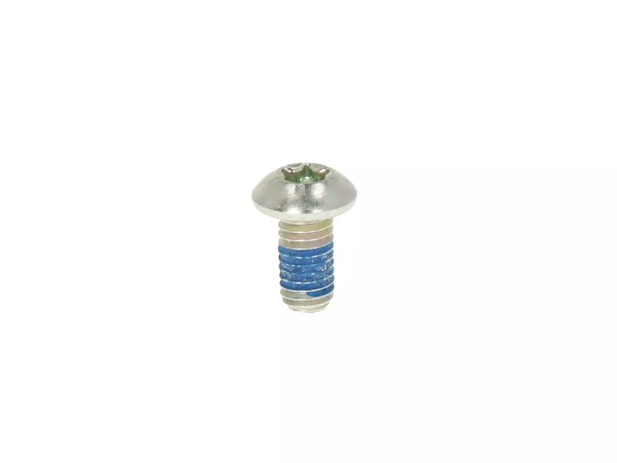 Screw Torx -ISO 7380/1 M5 x 10mm TX25