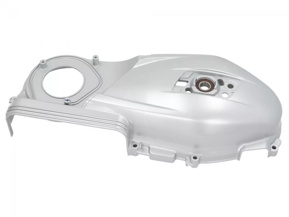 Varioskydd -PIAGGIO- Vespa GTS 125, GTS 150, GTS Super 125, GTS Super 125 Supertech, Primavera 150, Sprint 150