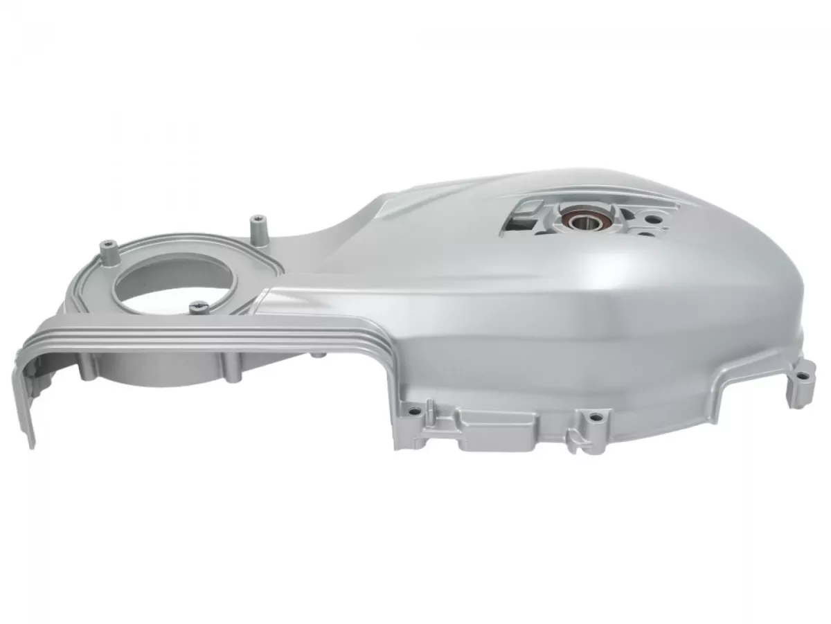Varioskydd -PIAGGIO- Vespa GTS 125, GTS 150, GTS Super 125, GTS Super 125 Supertech, Primavera 150, Sprint 150
