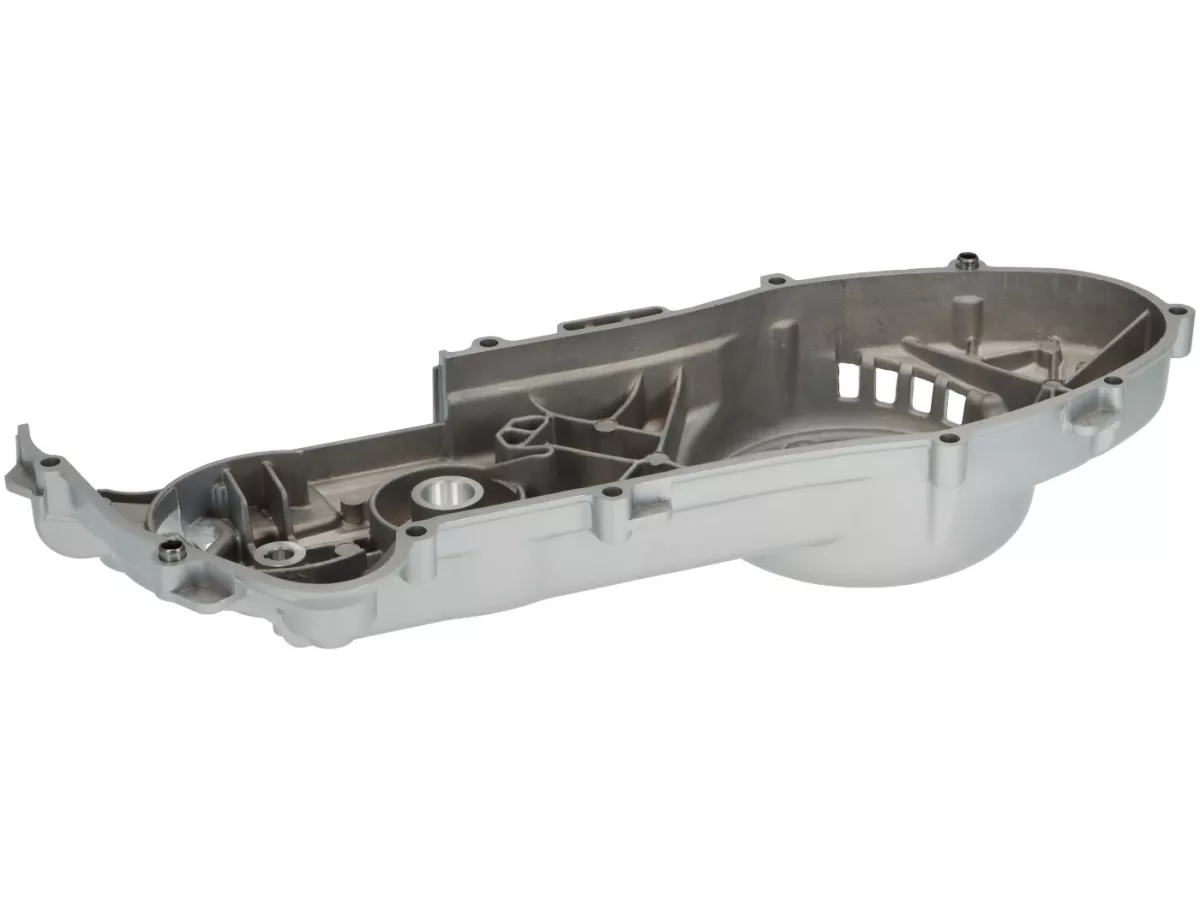 Varioskydd -PIAGGIO- Vespa Primavera 50 (ZAPCA0100, ZAPCA0102, ZAPCA0200, ZAPCA0202, ZAPCD0100, ZAPCD020), Vespa Sprint 50 (ZAPCA0101, ZAPCA0103, ZAPCA0201, ZAPCA0203, ZAPCA06B, ZAPCAV6B, ZAPCD0101, ZAPCD0201)