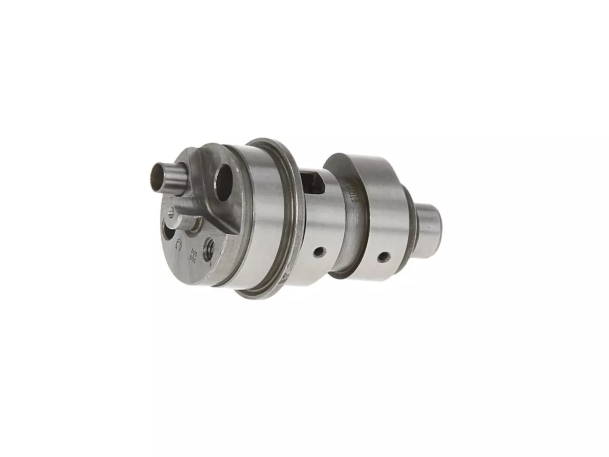 Nokkenas, type: bruin -PIAGGIO- Vespa GTS 125 (ZAPMD3200, ZAPMD3201), Vespa GTS Super 125 (ZAPMD3200), Piaggio Medley 125 (RP8MB0100, RP8MD0100)