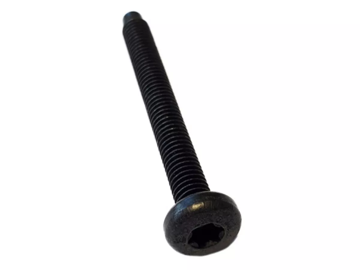 Schroef -DIN 7985 TX vergelijkbaar- M6 x 55mm