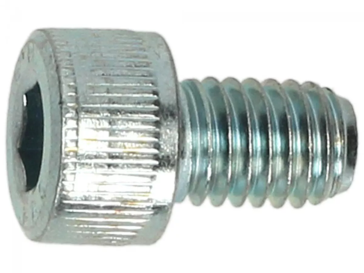 Binnenzeskantbout -DIN 912- M8 x 12 (sterkte 8.8) - gebruikt als olieaftapplug.