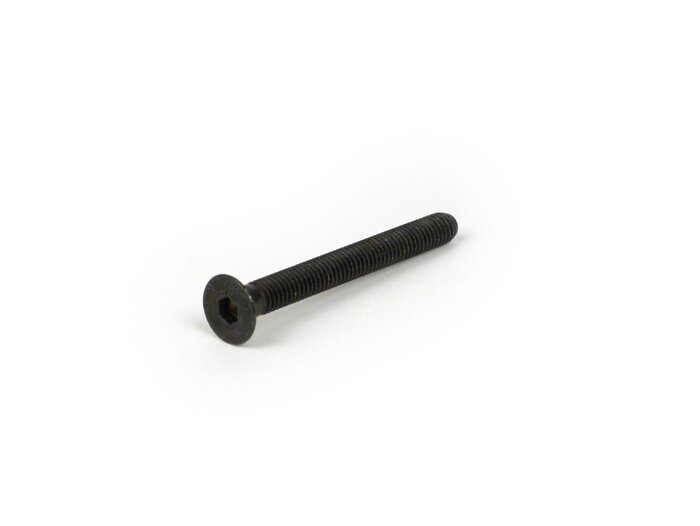 Torx schroef met verzonken kop -DIN7991- M6 x 55mm (sterkte 10.9) - gebruikt voor stuurbalansgewichten Vespa GTS