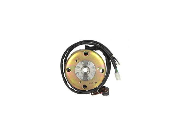 Komplete alternator (stator + rotor) -PIAGGIO- Piaggio Free (25km/h) FCS1T, Zip RST (ZAPC06), Zip Fast Rider (ZAPC07), Free (FCS2T)