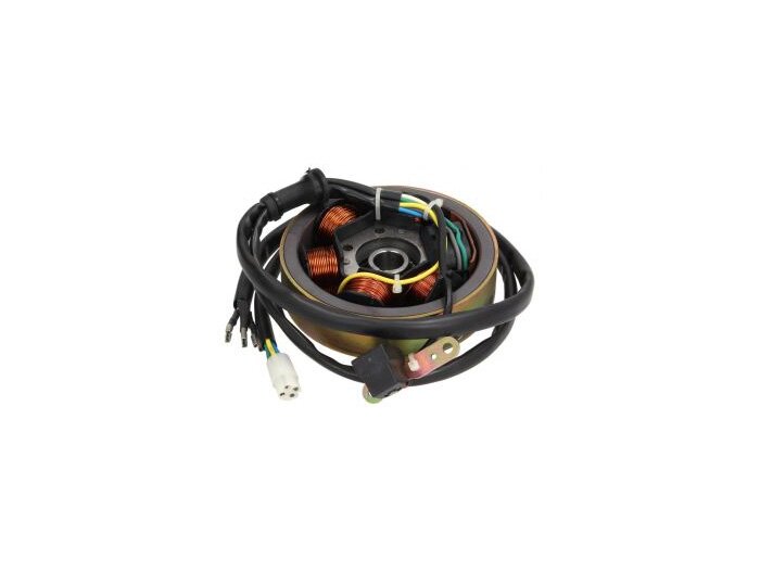 Komplete alternator (stator + rotor) -PIAGGIO- Piaggio Free (25km/h) FCS1T, Zip RST (ZAPC06), Zip Fast Rider (ZAPC07), Free (FCS2T)