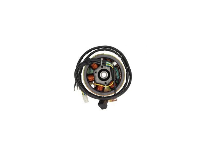 Komplete alternator (stator + rotor) -PIAGGIO- Piaggio Free (25km/h) FCS1T, Zip RST (ZAPC06), Zip Fast Rider (ZAPC07), Free (FCS2T)