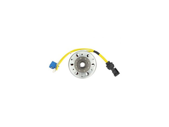 Komplett generator -PIAGGIO- Vespa ET4 125 (ZAPM19), GTL 125 (ZAPM311), LX 125 (ZAPM441), Aprilia Mojito 125 (ZD4RY), Piaggio Beverly RST 125 (ZAPM284), Gilera Runner VX 125 (ZAPM461)