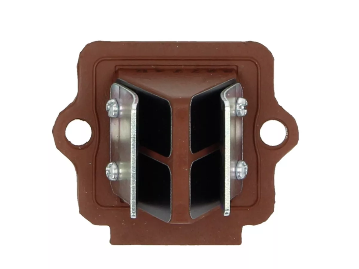 Clapet -PIAGGIO- Piaggio 50-180cc - lamelles de clapet carbone / GFK