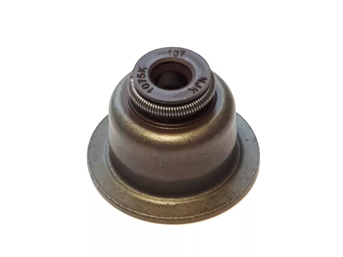 Dudukan pegas katup dengan segel batang katup -PIAGGIO- Vespa GTS 125 (ZAPMA3100, ZAPMA3200, ZAPMA3700), Vespa GTS 150 (ZAPMA3100, ZAPMA3200), Vespa GTS Super 125 (ZAPMA3100, ZAPMA3200, ZAPMA3700, ZAPMA3701), Vespa LT 125 (RP8M66503), Vespa LT 150 (RP8M66