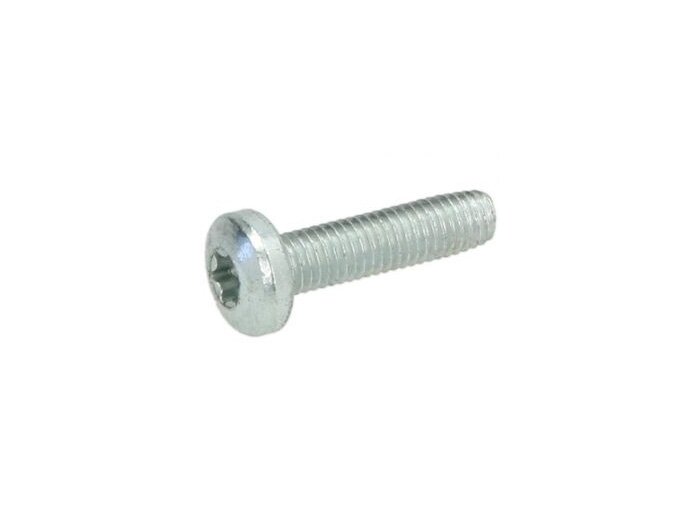 Vite -DIN 7985 TX- M5 x 20 mm