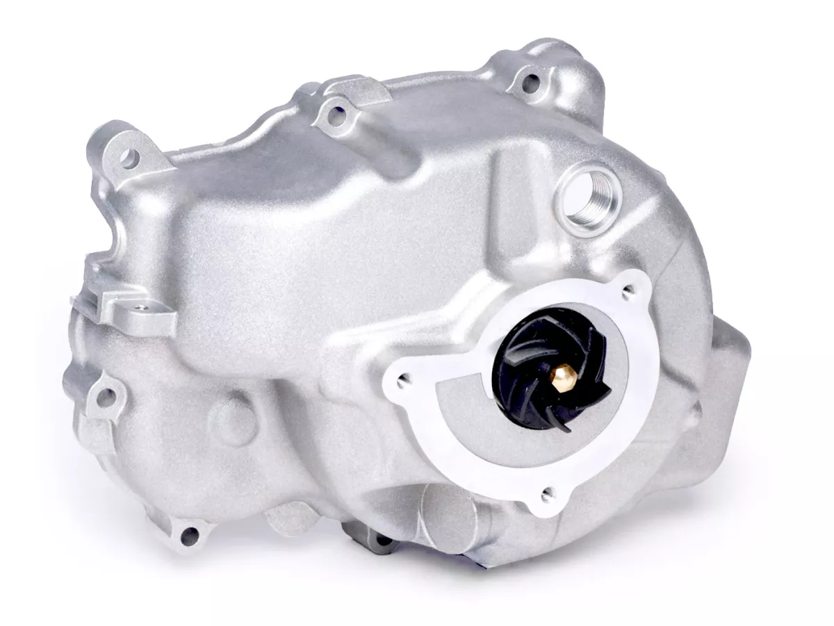 Ignition cover, water pump -PIAGGIO- Vespa GT 250 (ZAPM45102), Vespa GTS 250 (ZAPM45100, ZAPM45101), Vespa GTS 300 (ZAPM45200, ZAPM45202, ZAPMA3300), Vespa GTS Super 300 (ZAPM45200, ZAPM45202, ZAPMA3300), Vespa GTS Super Sport 300 (ZAPM45200), Vespa GTV 2