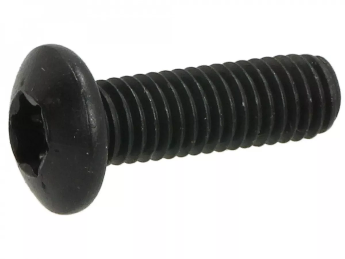 Screw Torx -ISO 7380/1 M5 x 16mm- TX25
