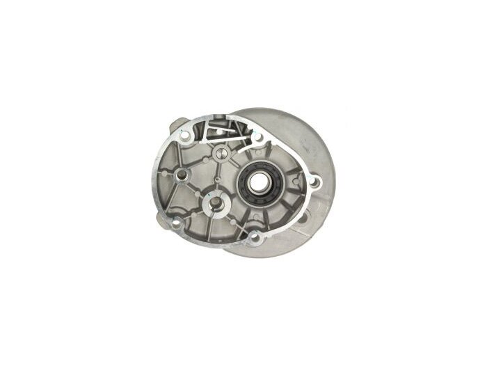 Penutup gearbox -PIAGGIO- Vespa Primavera 50 (ZAPC53100, ZAPC53300, ZAPC53302, ZAPCA0100, ZAPCA0200, ZAPCA0102, ZAPCA0202), Vespa Sprint 50 (ZAPC53101, ZAPC53301, ZAPC53303, ZAPCA0101, ZAPCA0201, ZAPCA0103, ZAPCA0203, ZAPC536B), Piaggio Fly 100 (LBMM53100