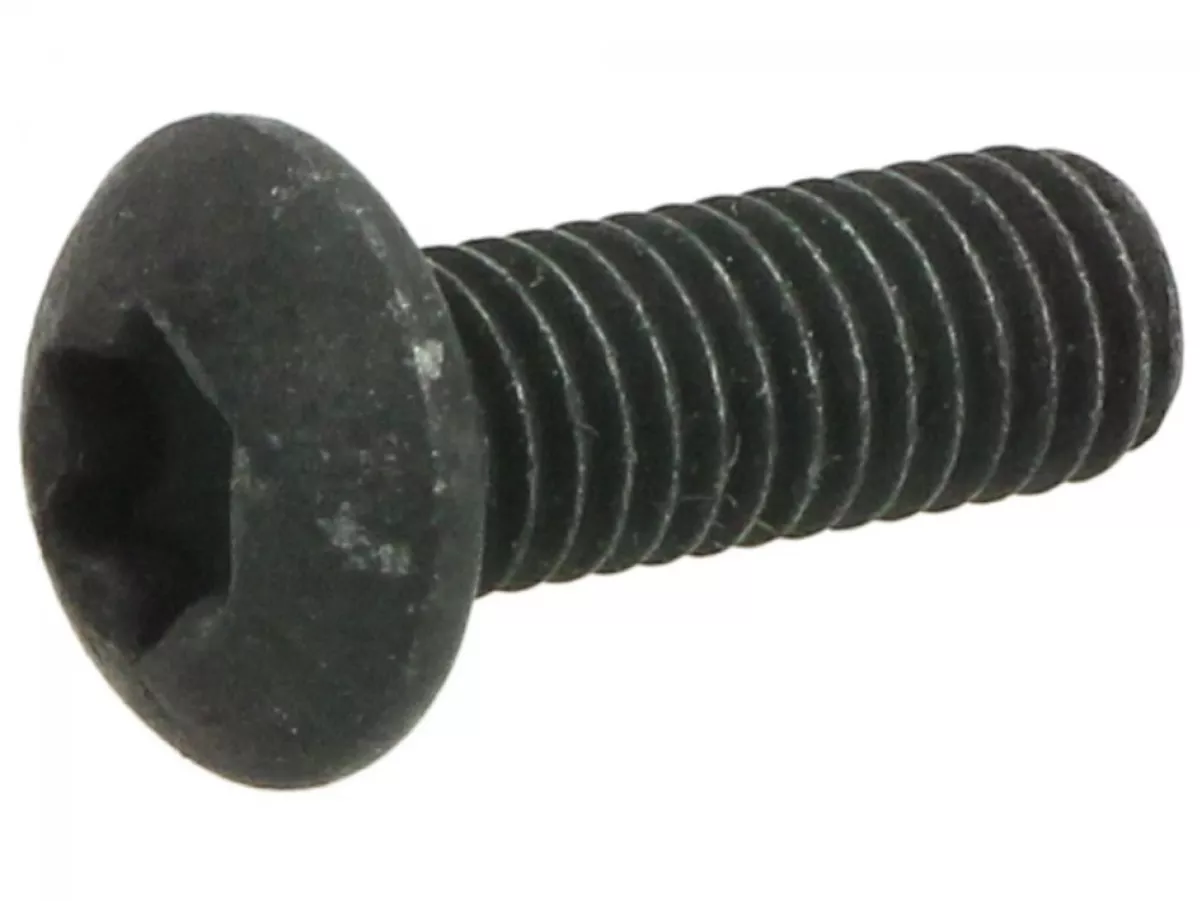 Torx panhuvudskruv -ISO7380/1 M5 x 14mm -TX25