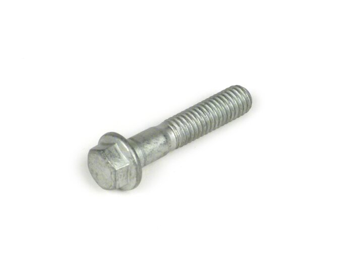 Vite con flangia -PIAGGIO- M6 x 30mm