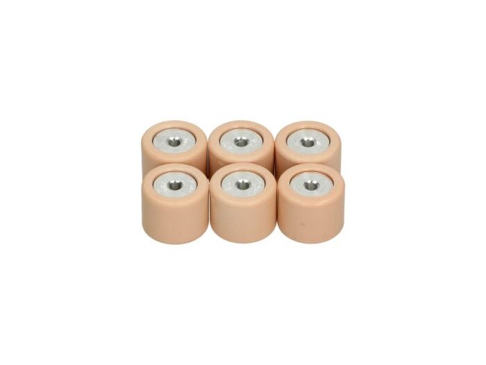 Vikter -PIAGGIO 19x15,5mm- 8,0g - Vespa LX50 2T (ZAPC381), S50 2T (ZAPC381), ZIP 2 50 2T (LBMC25, ZAPC25), TPH50 (LBMC501, ZAPC290, TEC2T00), NRG mc³ (ZAPC320), Liberty 50 2T/4T (ZAPC15, ZAPC42, ZAPC491, ZAPC374), Piaggio Fly50 2T (LBMC447, ZAPC441), Gi