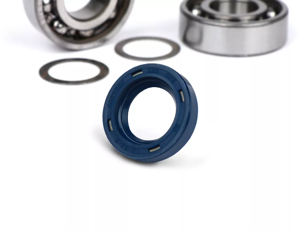 Lagersats SKF -SC- Piaggio Bravo, Boxer, Ciao, Si , SuperBravo, Grillo, Ec1 inkl. oljetätning