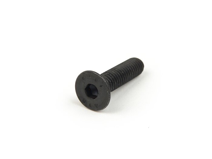 Vite a testa svasata con esagono incassato -DIN7991- M6 x 25 mm (resistenza 10,9)