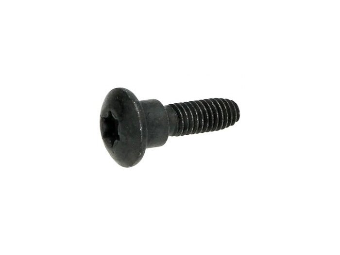 Skruv för paneler M6 x 22 mm med axel -PIAGGIO- Phillipshuvud
