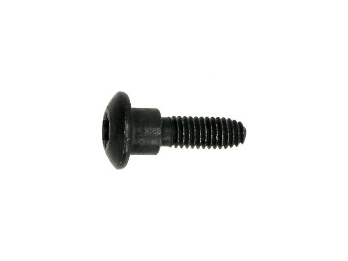Skruv för paneler M6 x 22 mm med axel -PIAGGIO- Phillipshuvud