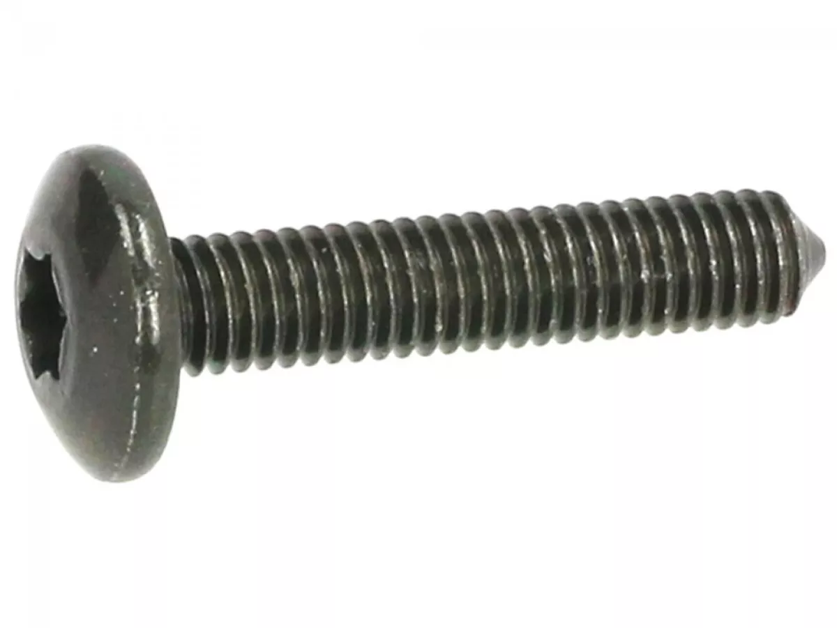 Skruv M6 x 30 mm för paneler utan axel -PIAGGIO- Torx