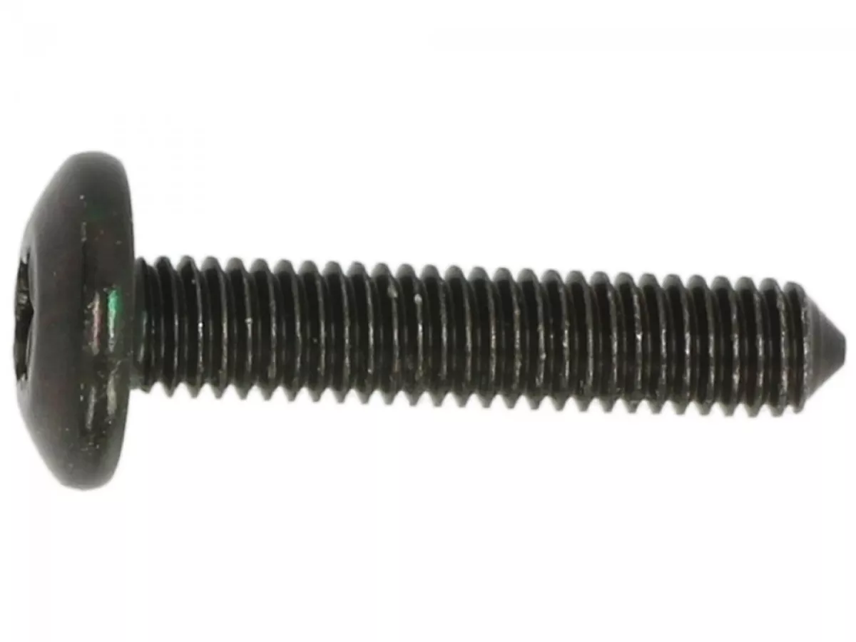 Skruv M6 x 30 mm för paneler utan axel -PIAGGIO- Torx