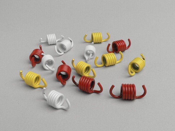 Clutch spring set -MALOSSI- Kymco 500cc (type Xciting), Honda 400-600cc (type Silver Wing)