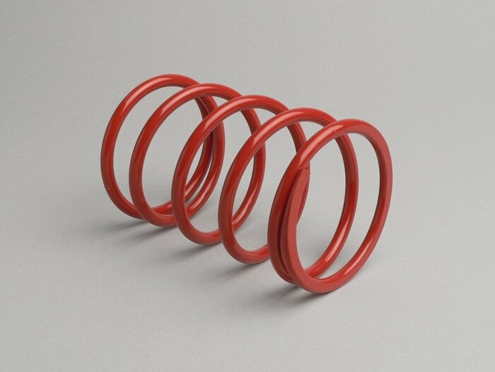 Muelle de contrapresión -MALOSSI Racing- Minarelli 250 ccm