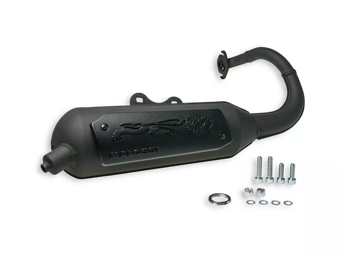 Escape -MALOSSI WILD LION homologado- PEUGEOT Elyseo, Trekker, Vivacity