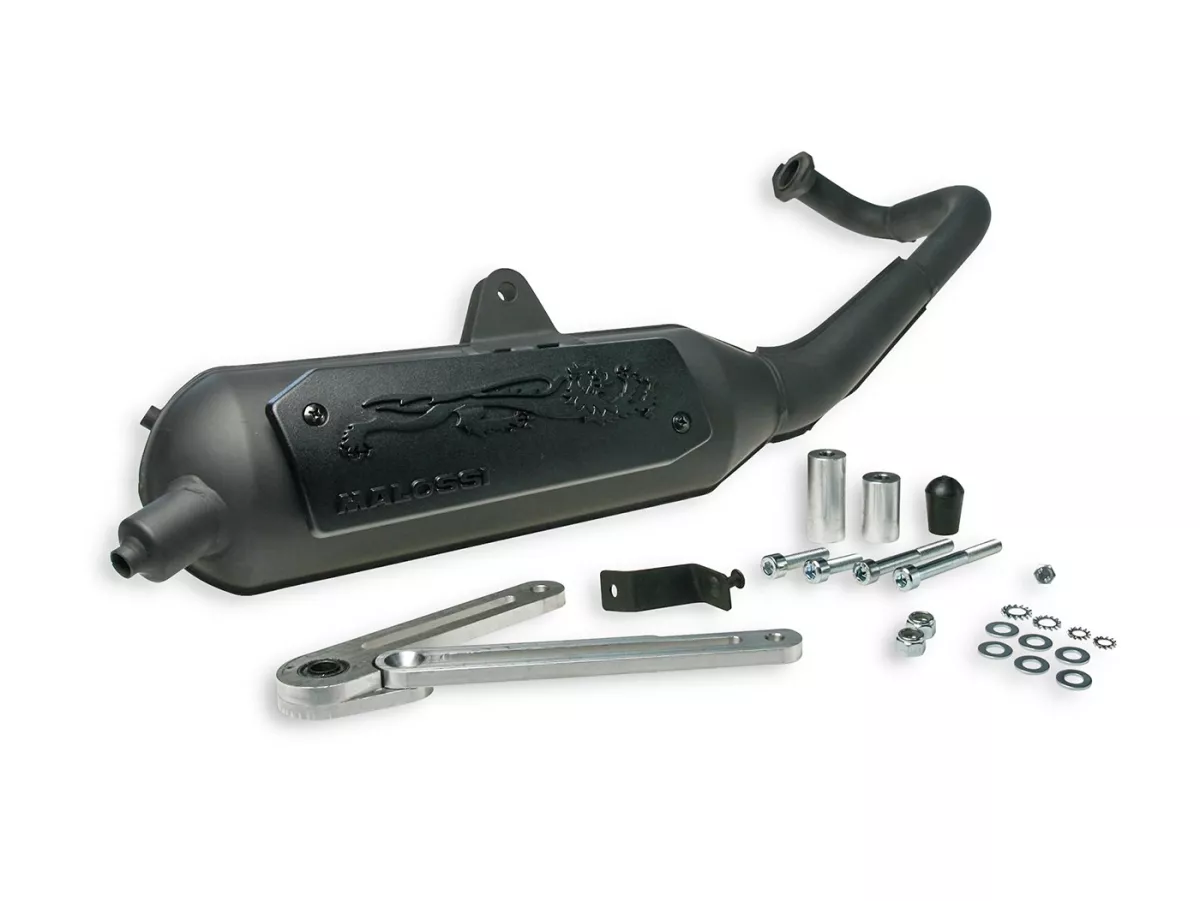Exhaust -MALOSSI WILD LION homolgated- KYMCO Agility R16, Dink, People, Super 9, Top Boy/Cobra