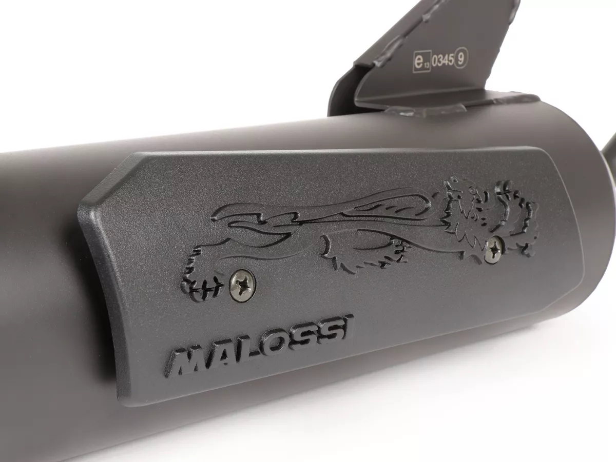 Knalpot -MALOSSI WILD LION yang telah dihomologasi- HONDA NSC50R 50 4T yaitu Euro2 AF72E, Vision 50 4T yaitu AF72E