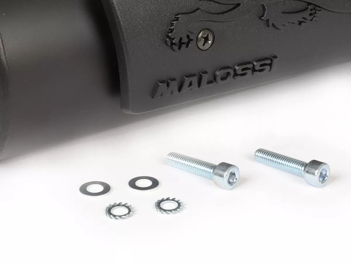 Knalpot -MALOSSI WILD LION yang telah dihomologasi- HONDA NSC50R 50 4T yaitu Euro2 AF72E, Vision 50 4T yaitu AF72E