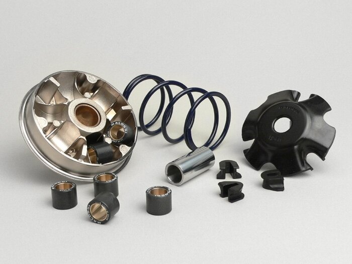 Variator-Kit -MALOSSI Multivar 2000- Peugeot 100 cc (models with cat)