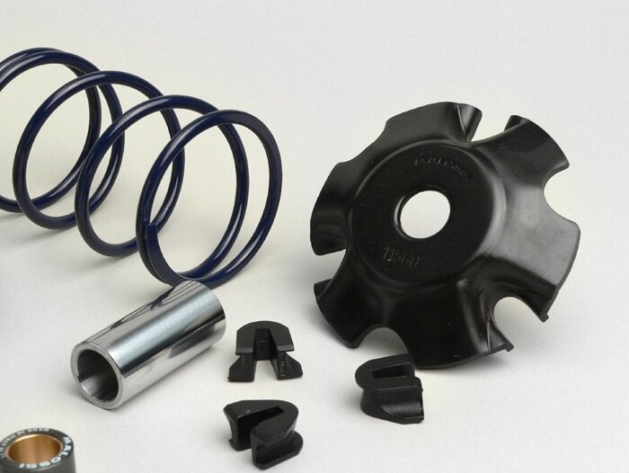 Variator-Kit -MALOSSI Multivar 2000- Peugeot 100 cc (models with cat)
