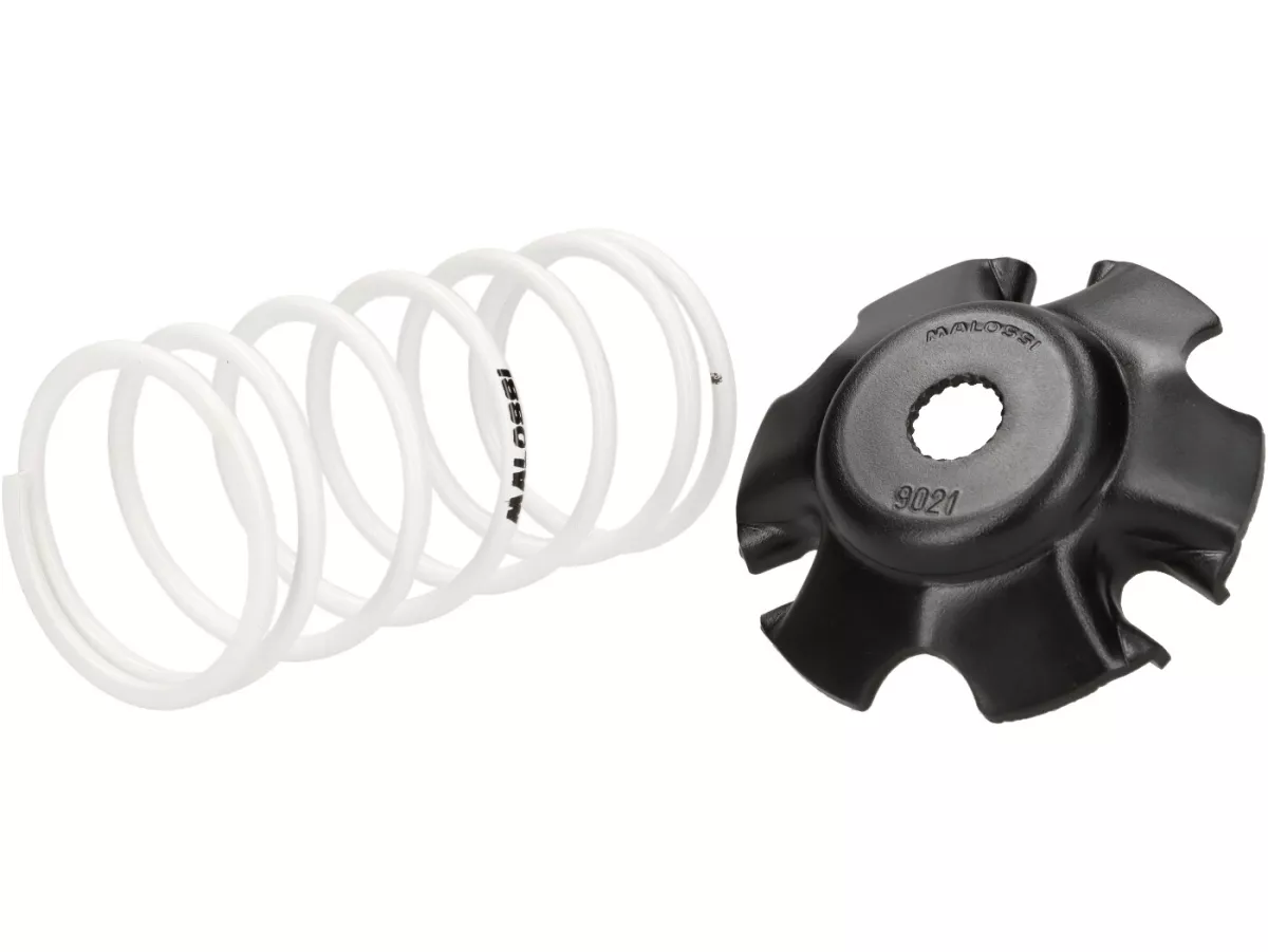 Variateur -MALOSSI Multivar 2000- Piaggio 50 ccm 4-takt HiPer-4 - Vespa Primavera 50cc 4T 3V/4V, Sprint 50 4T 3V/4V, S50 4V 4T (Euro2, motor C532M), ET4 50, Piaggio LX 50 4T, Fly 50 4T AC, Piaggio New Fly 50 4T AC, Liberty50 4T, ZIP 50 4T iGet, Aprilia S