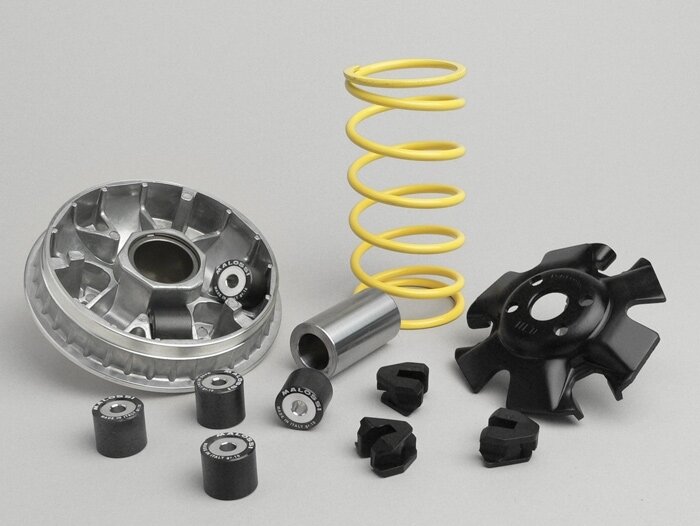 Variomatik -MALOSSI Multivar 2000- Rotax 200 ccm